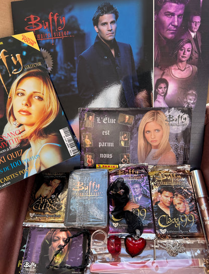 Grande Box Buffy contre les vampires